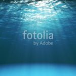 fotolia_134537444