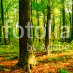 fotolia_137101154